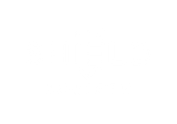 Shield Society